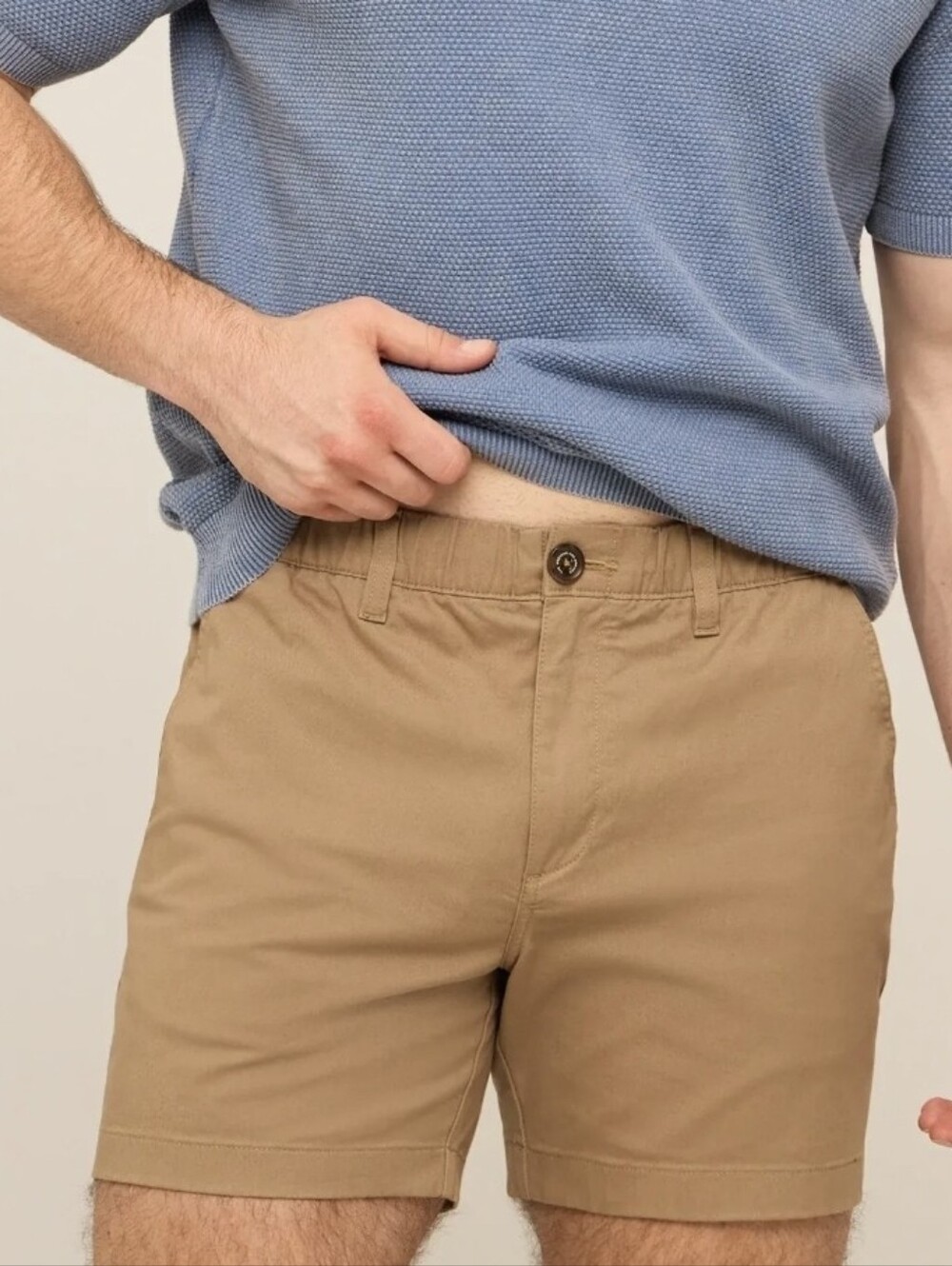 Chubbies Mens The Cinnamon Dusts Stretch Shor 5.5t NWT Light Brown